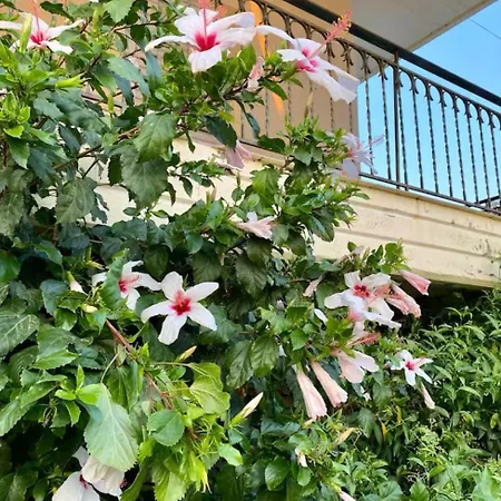 Appartement Άρπυια Kakovatos (Elis)