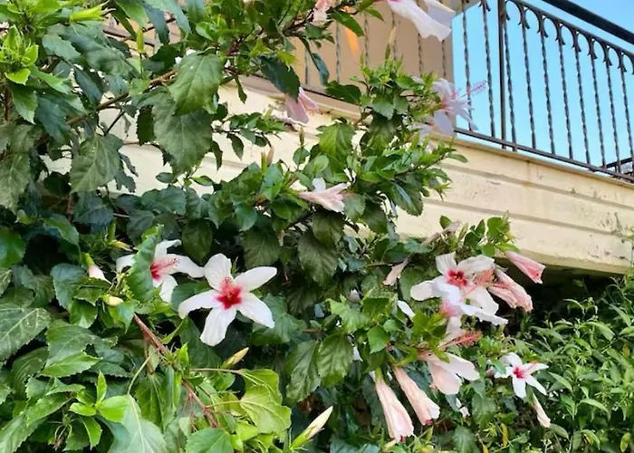 Appartement Άρπυια Kakovatos (Elis)